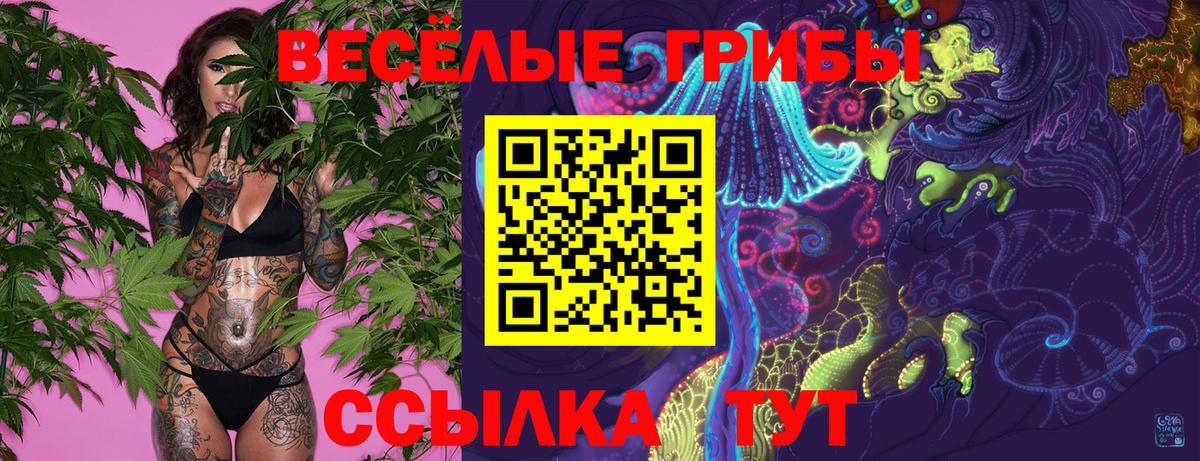 Каменск-Шахтинский  что такое наркотик  Вход с VPN  Псилоцибиновые грибы Psilocybe 